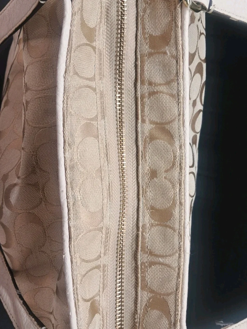 Coach Park Signature Carrie Tote Purse Handbag